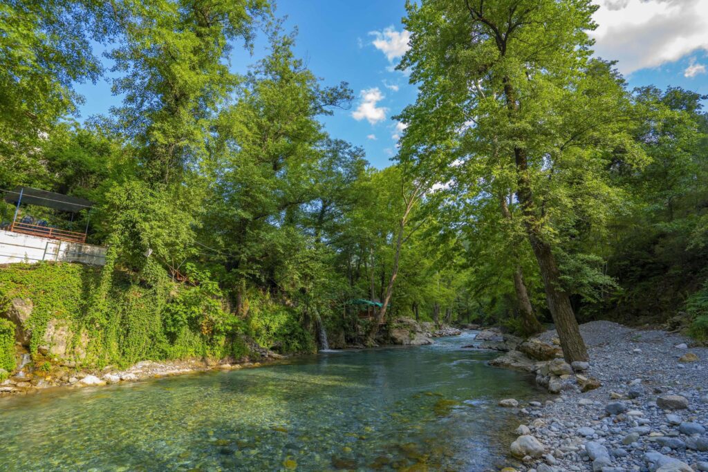 Mountain river stream waterfall green forest Landscape nature plant tree rainforest jungle Stock Free