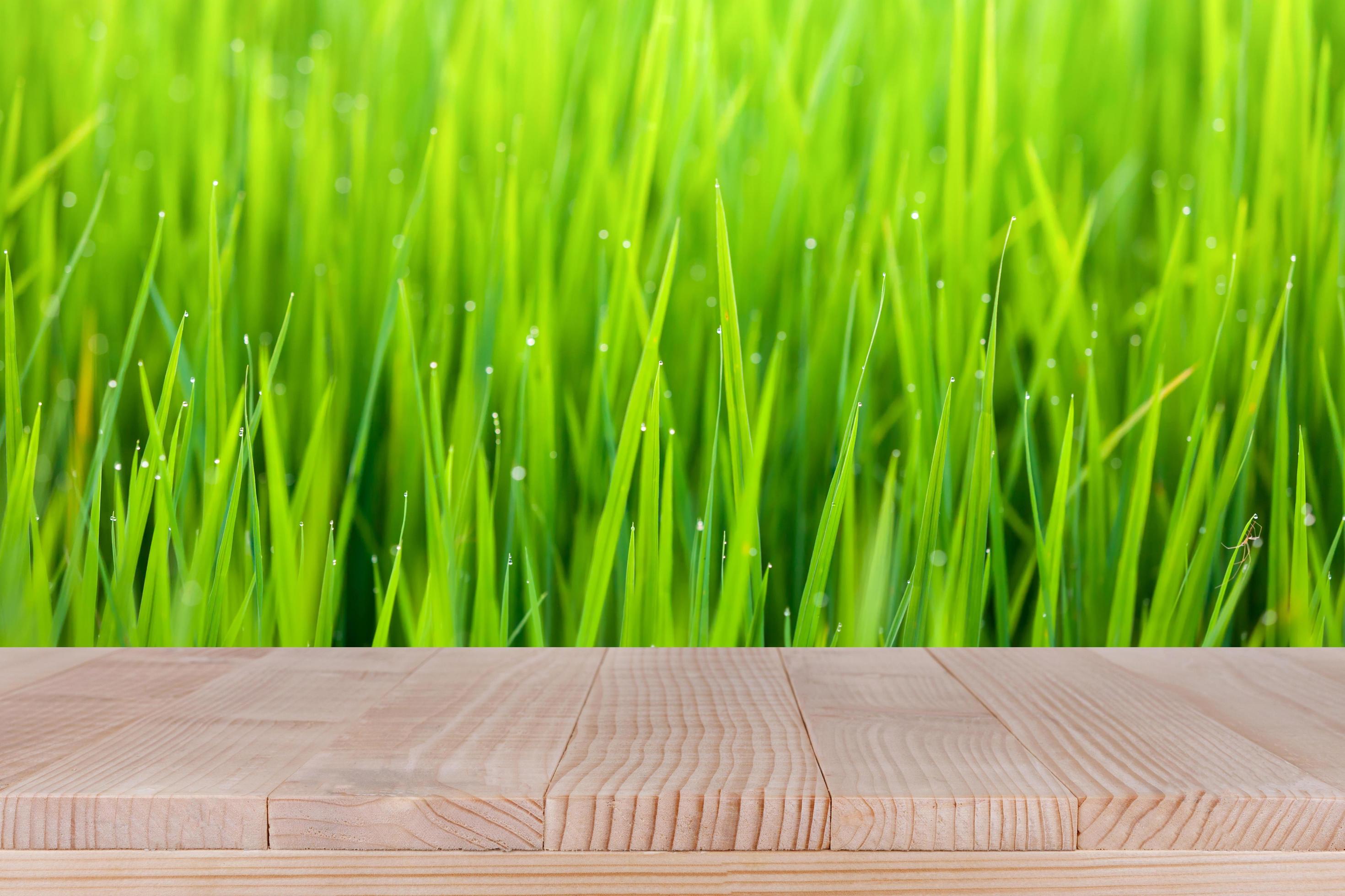 brown wood table top on bokeh abstract green nature background – can be used for montage or display your products Stock Free