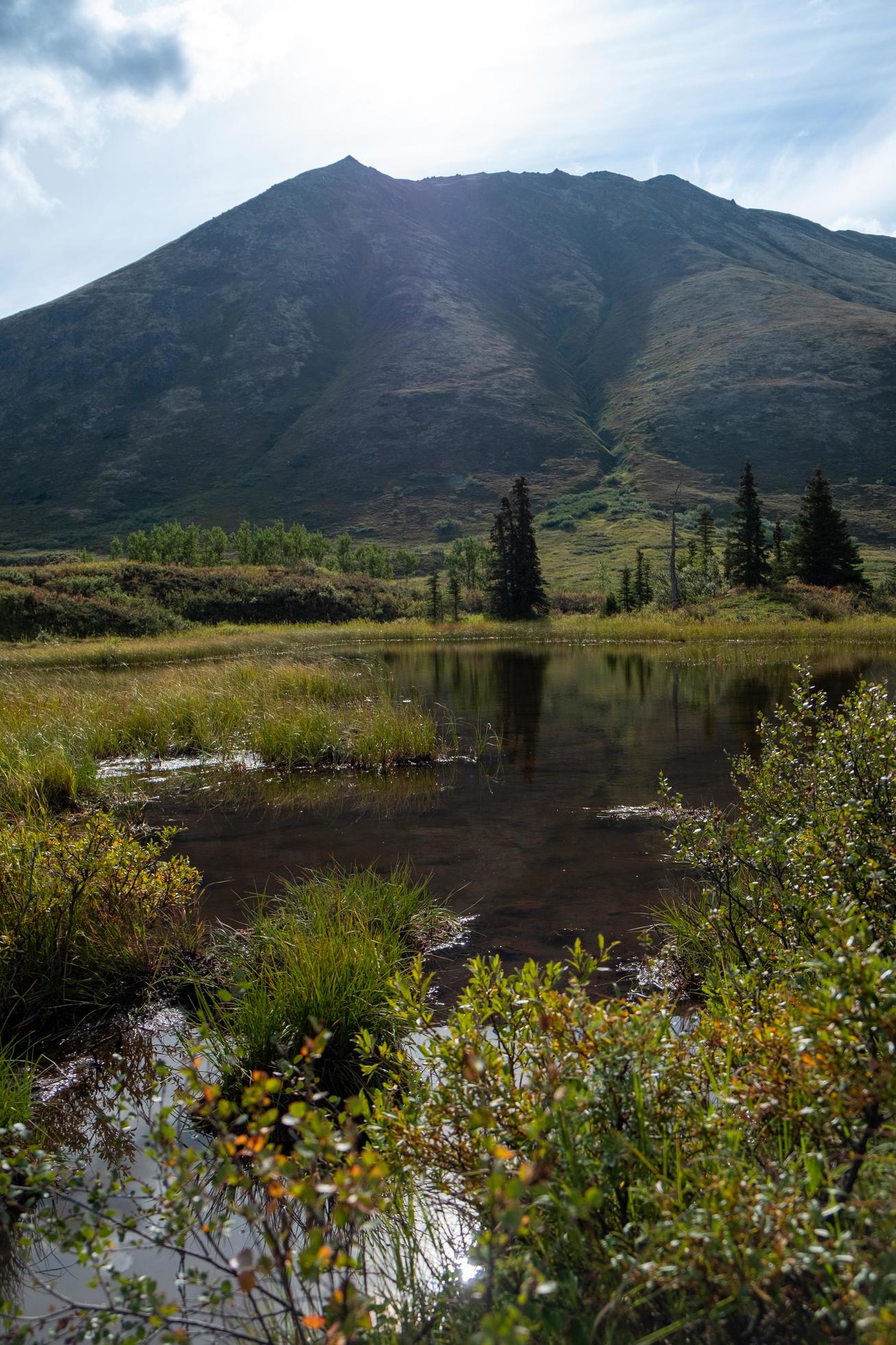 Nature landscape in Alaska Stock Free