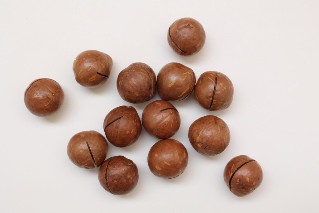 Macadamia nuts seeds background Stock Free