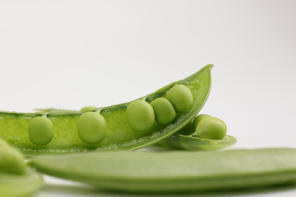 Pea on white background Stock Free