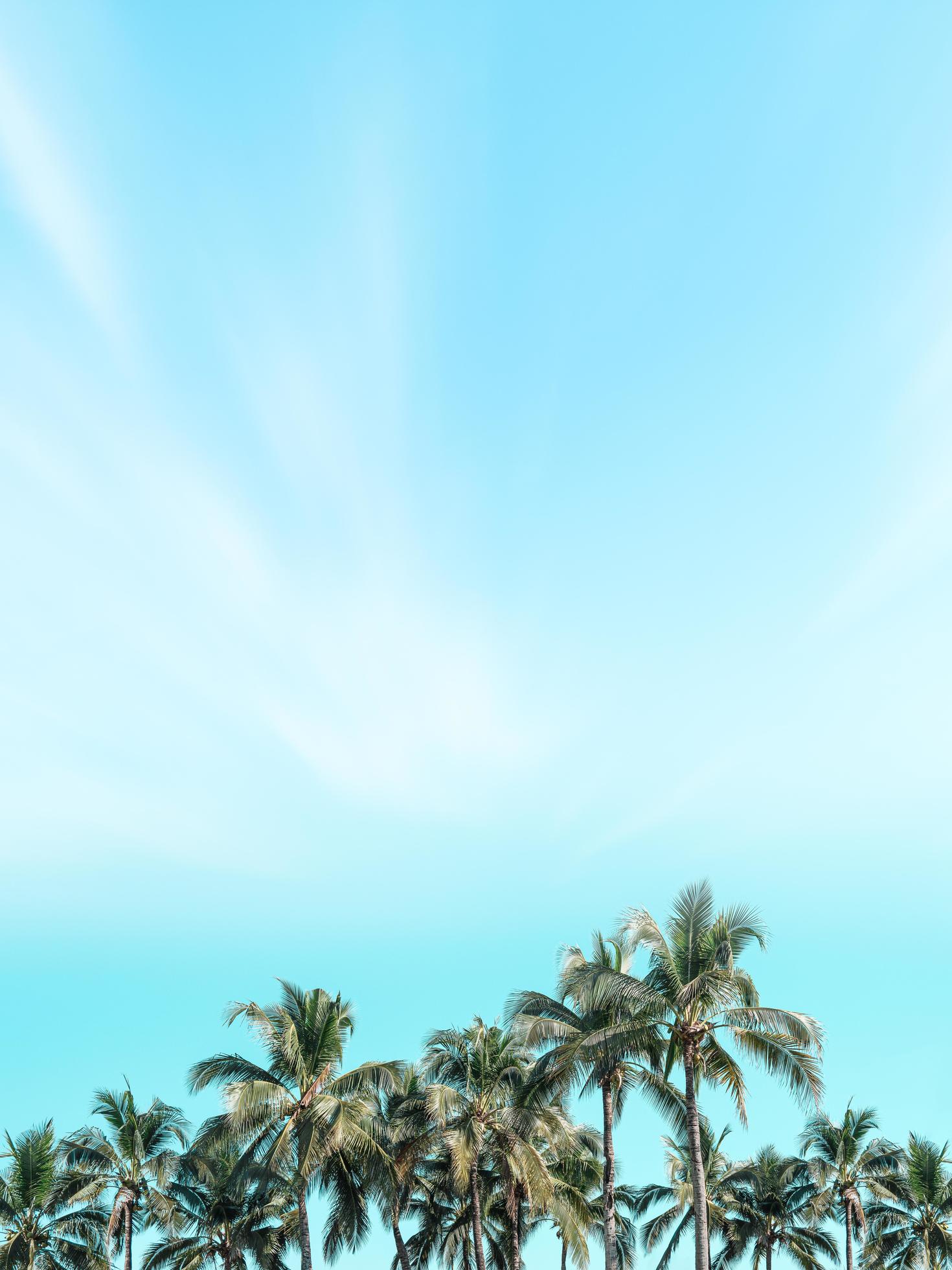 Beautiful coconut palm trees with vintage nature beach background. Stock Free