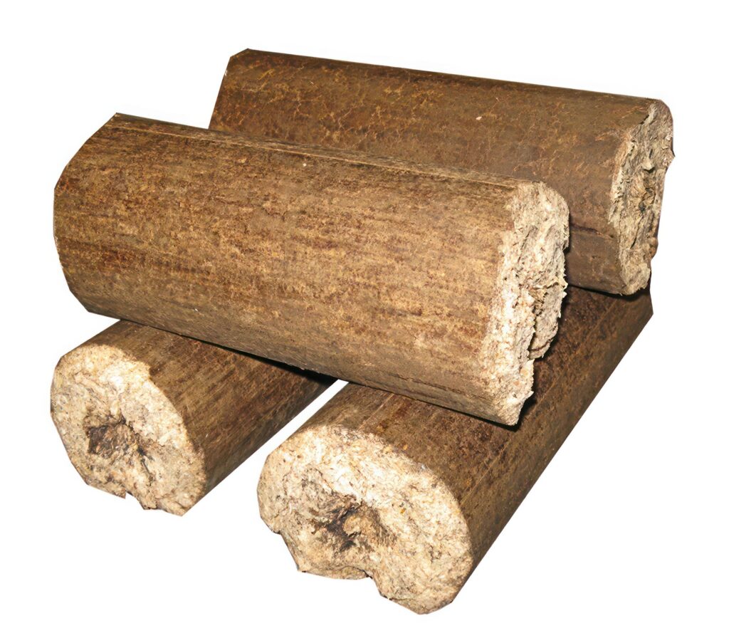 Pine Tree wood stumps on ground after being cut with real wood texture background. Stock Free