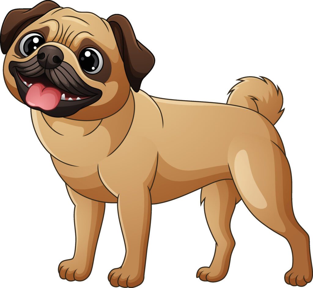 Cute pug dog cartoon isolated on white background Free Vector