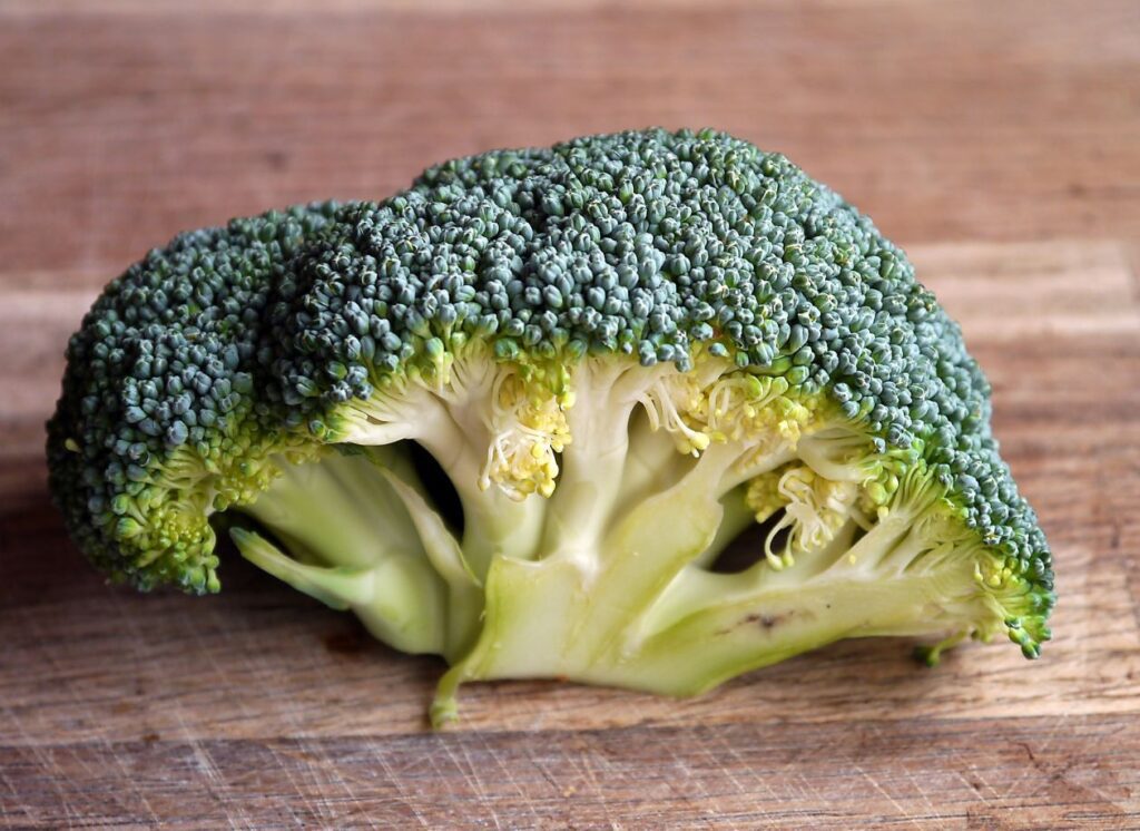 Broccoli Stock Free