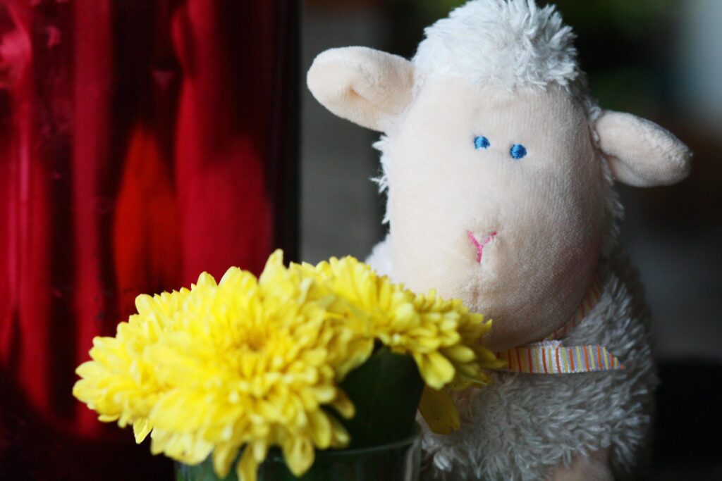 Happy sheep doll with yellow flowers decoration on colorful Tablecloth and table in coffee shop Stock Free