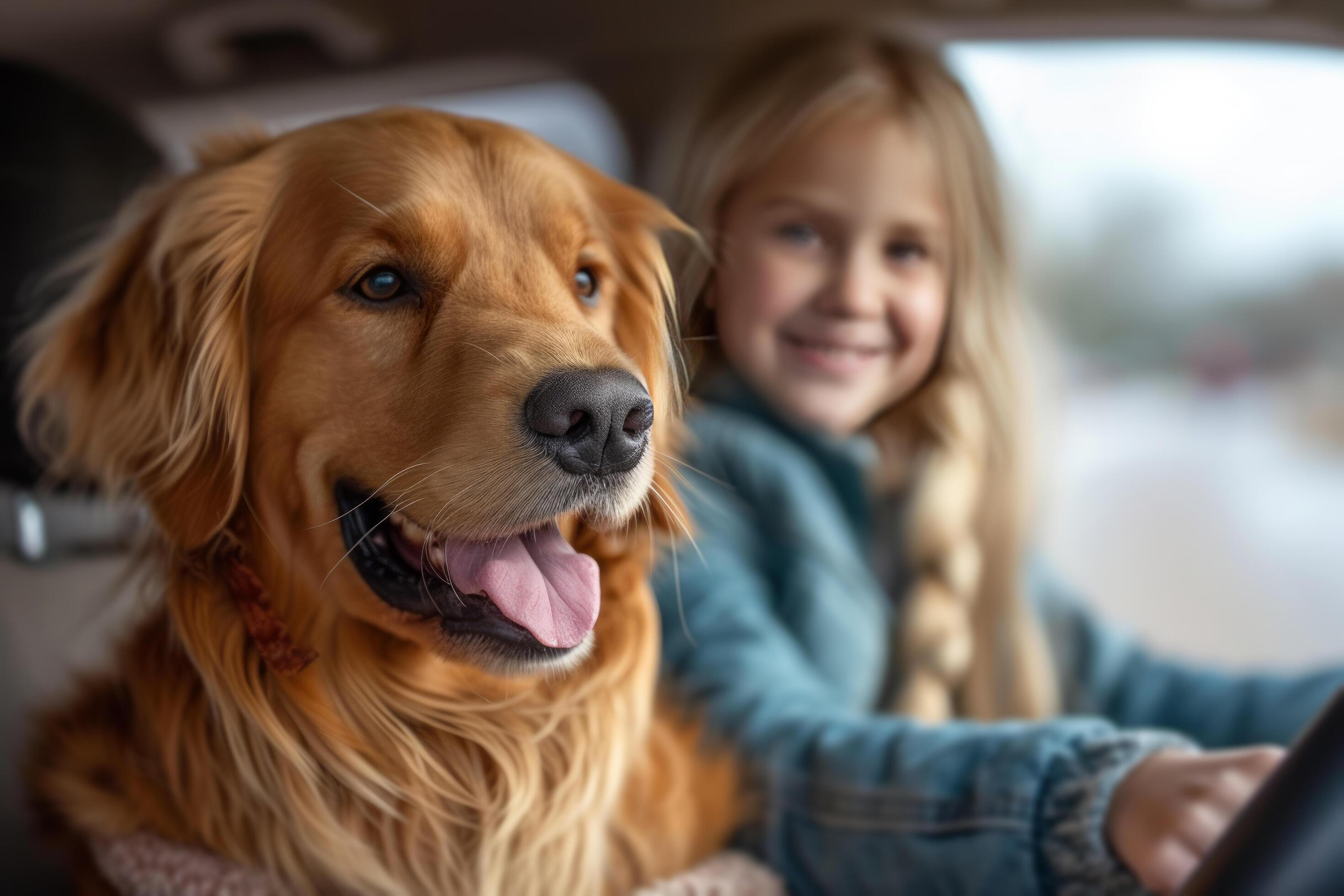 AI generated A young beautiful family is sitting in a car with their fluffy golden retriever dog Stock Free