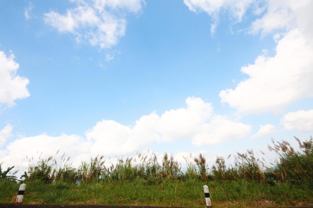 bloming green grass fields in springtime with blue sky and natural sunlight shining on mountain. Stock Free