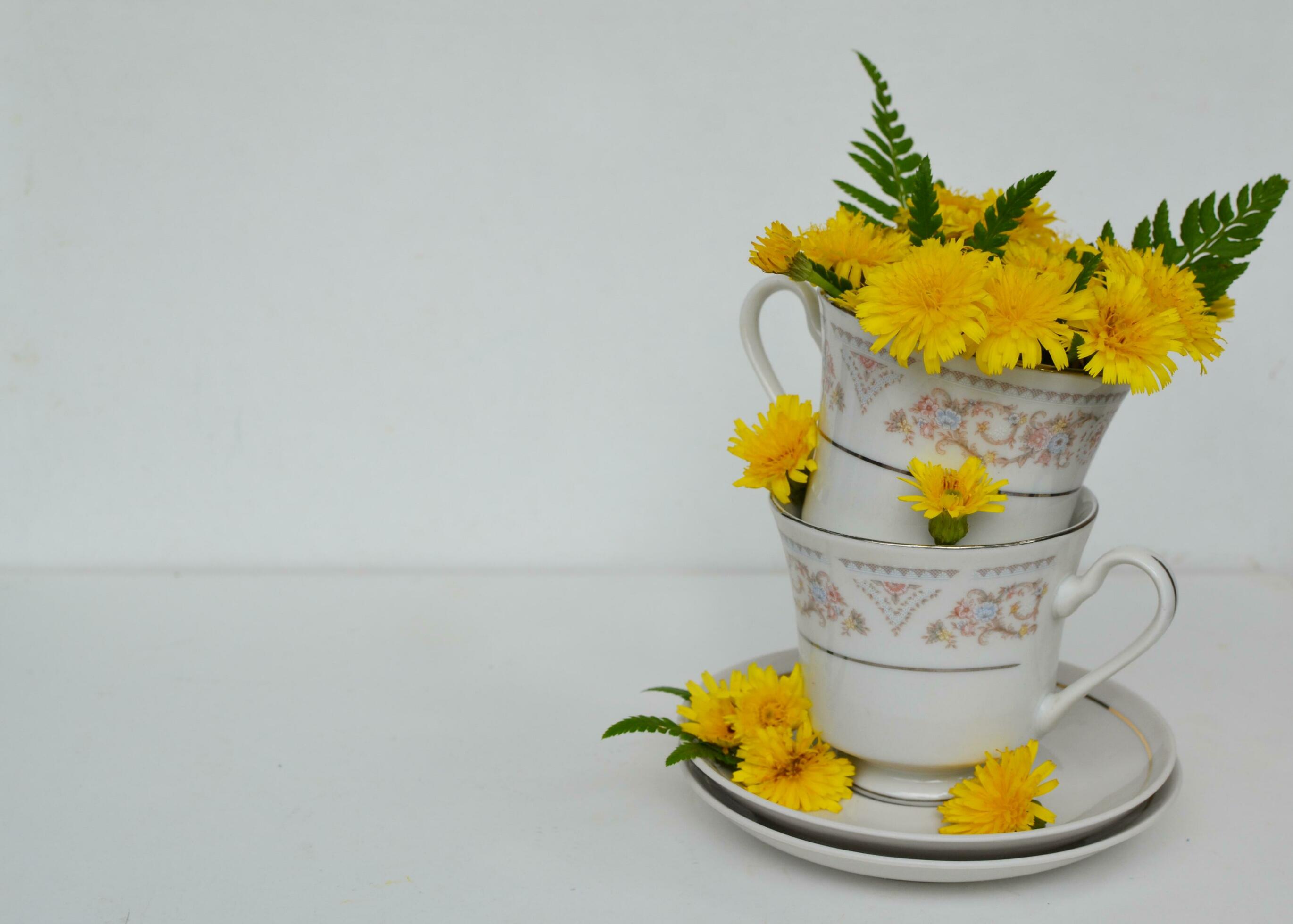 yellow flowers in the cup of tea for summer vibes and for backdrop Stock Free