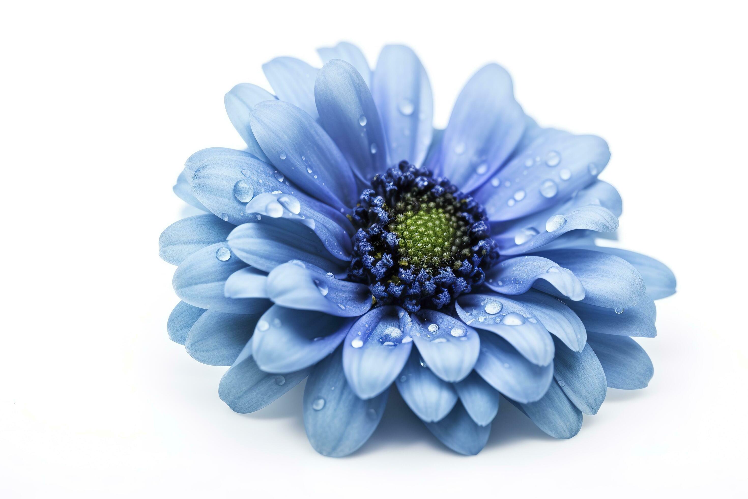 Blue flower isolated on white background, png with transparency , generate ai Stock Free