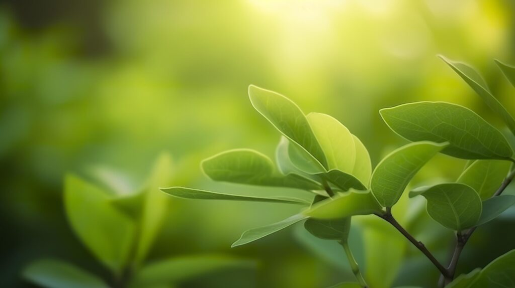 Close up beautiful view of nature green leaves on blurred greenery tree background, generat ai Stock Free