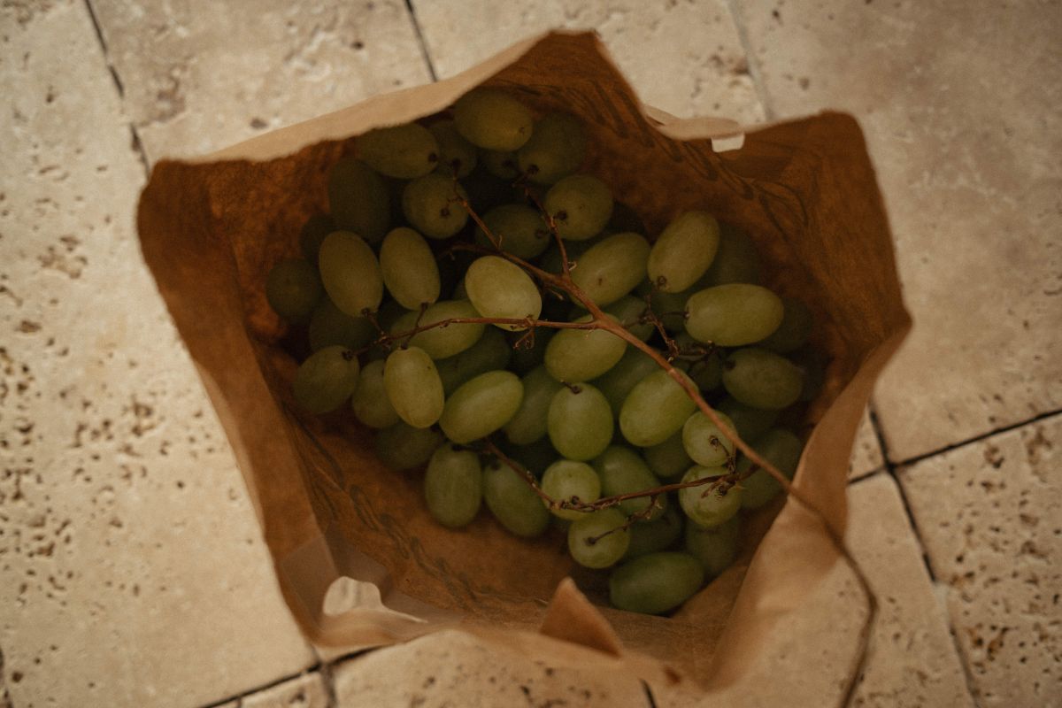 Rustic Elegance: Free Stock Photos of Grapes and Fruit Aesthetic Stock Free