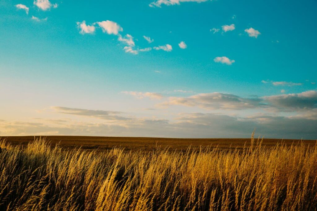 Blue Sky Farm Field Summer Stock Free