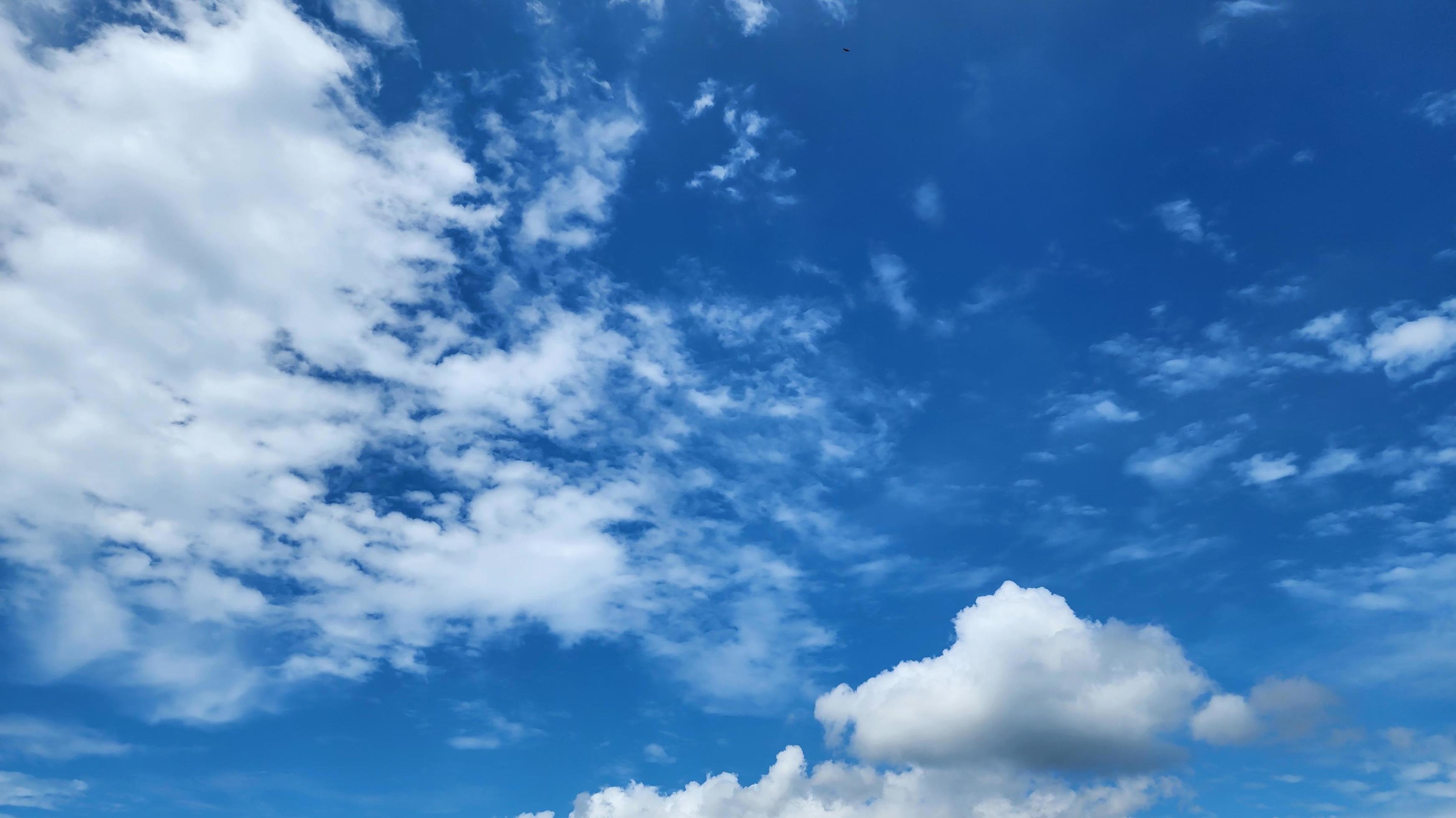 Cumulus Clouds In A Blue Sky During Day Time. Natural Sky Background and Wallpaper Stock Free