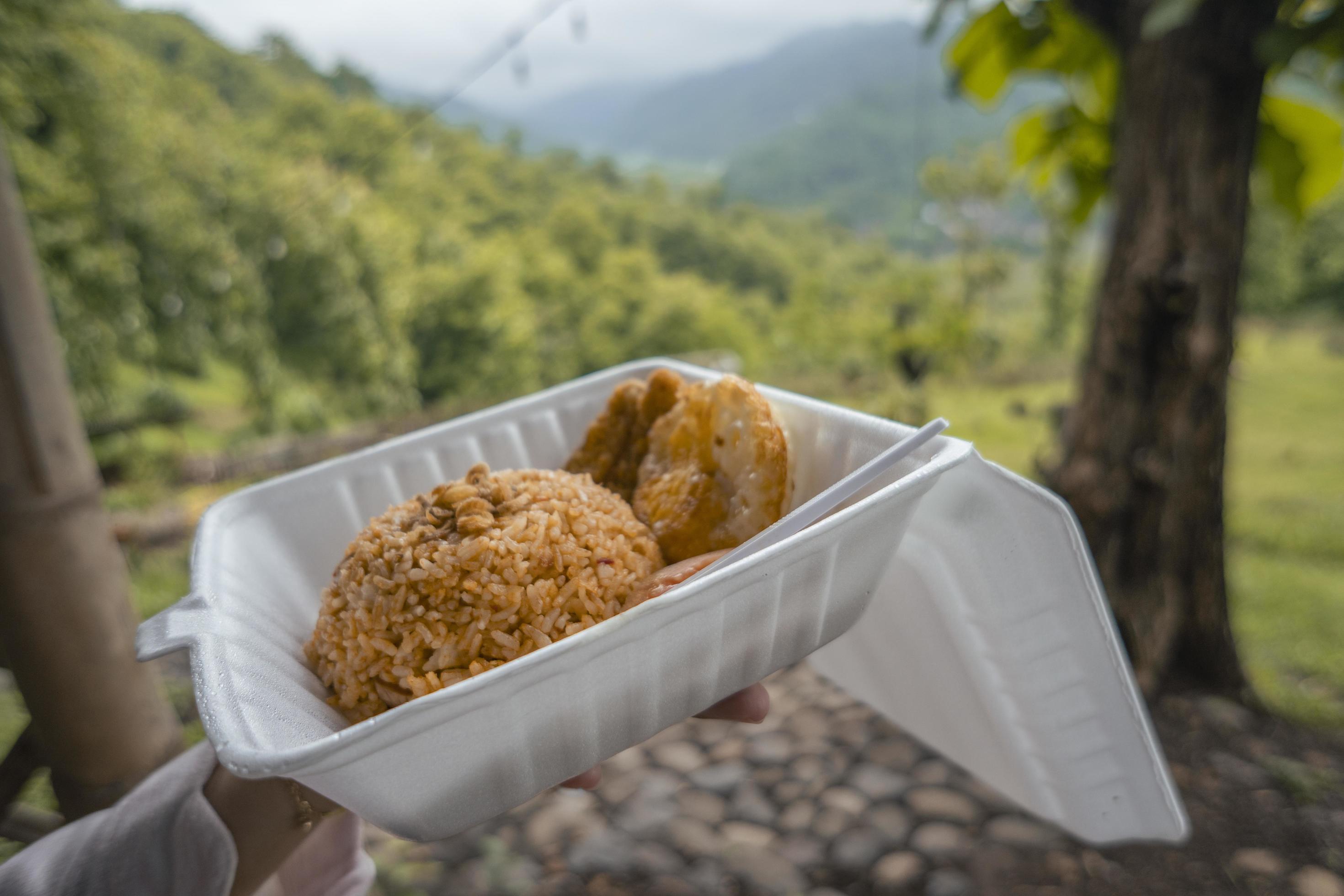 Close up photo of fried rice with nature background when day time. The photo is suitable to use for food traveler background and foodies post content. Stock Free