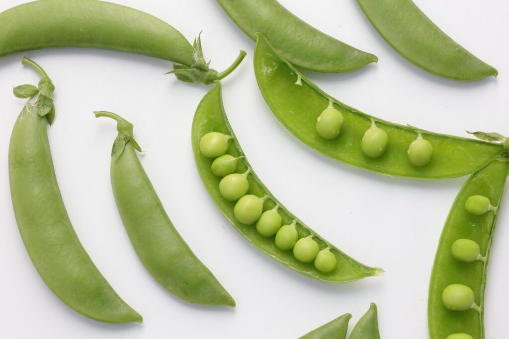 Pea on white background Stock Free