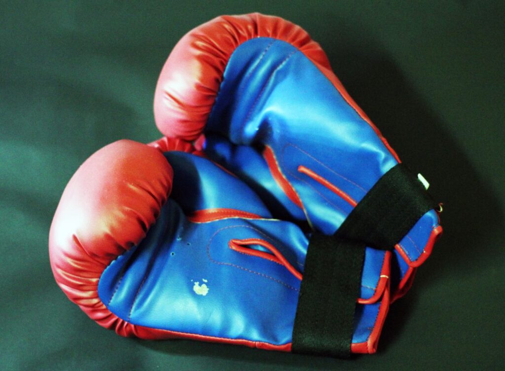 Boxing Gloves Stock Free