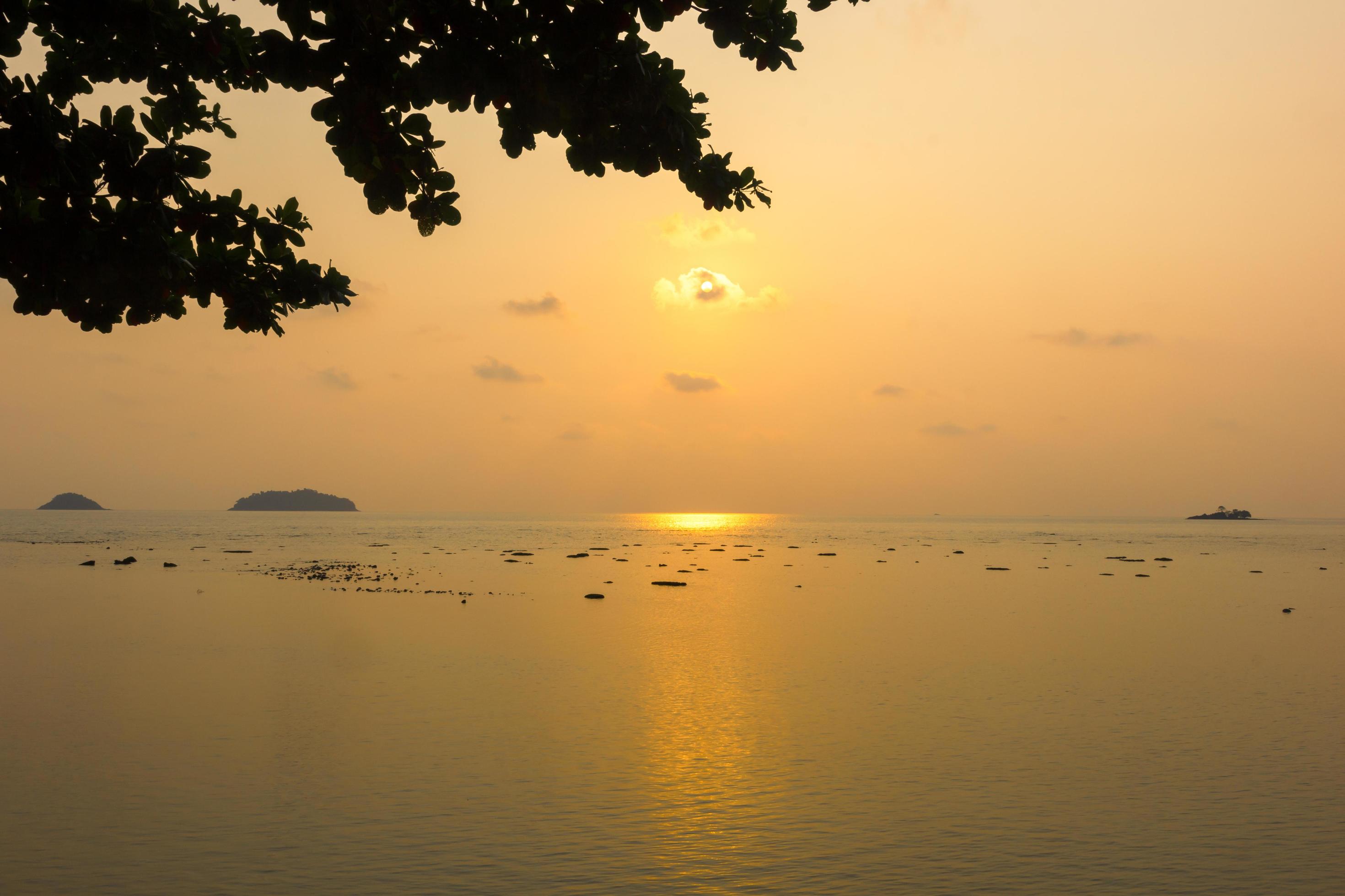 Natural silhouette of a sea view at sunset with trees framed in orange tones, nobody, copy space. Stock Free