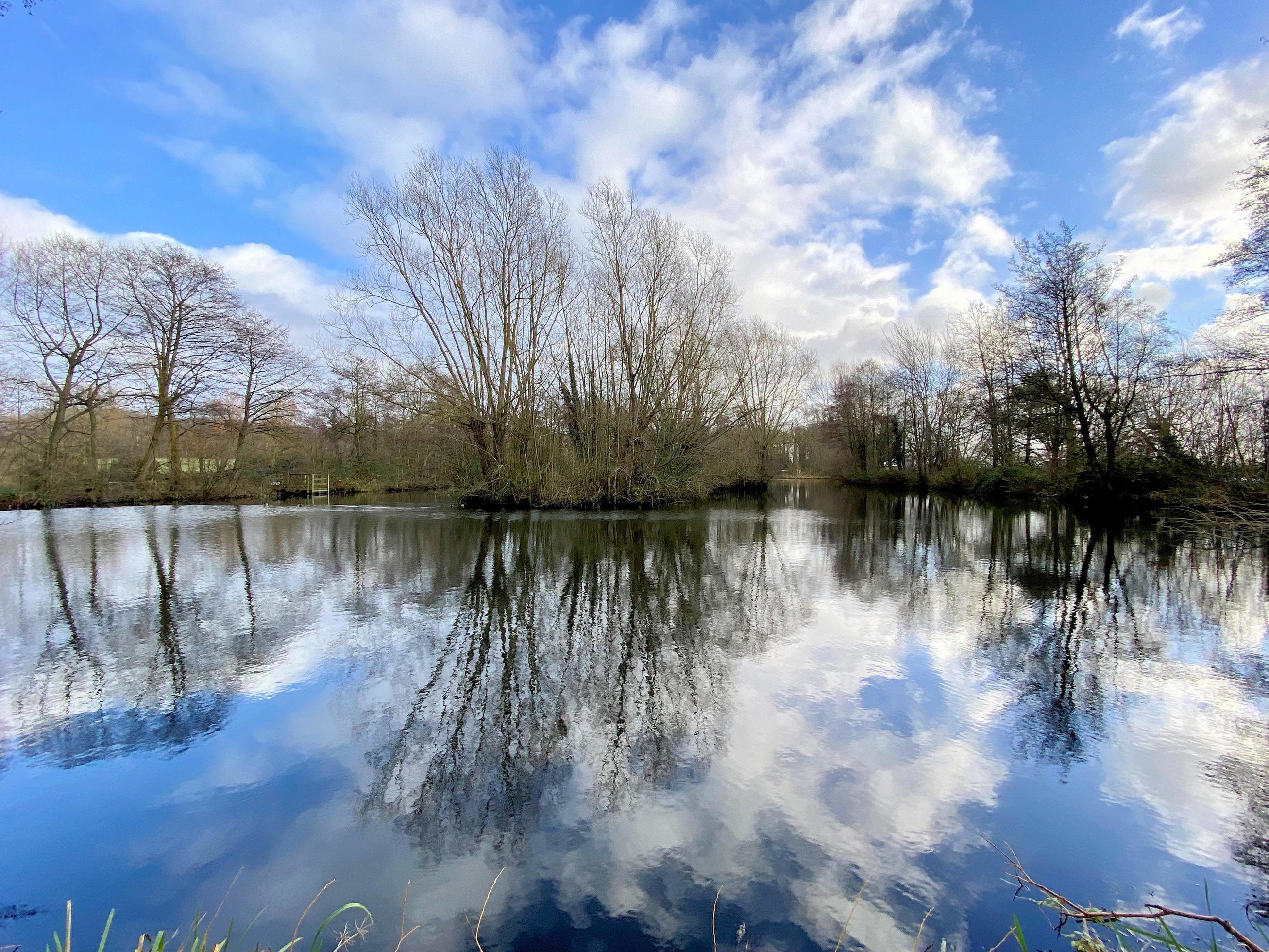 A view of Burton Mere Wetlands Nature Reserve Stock Free