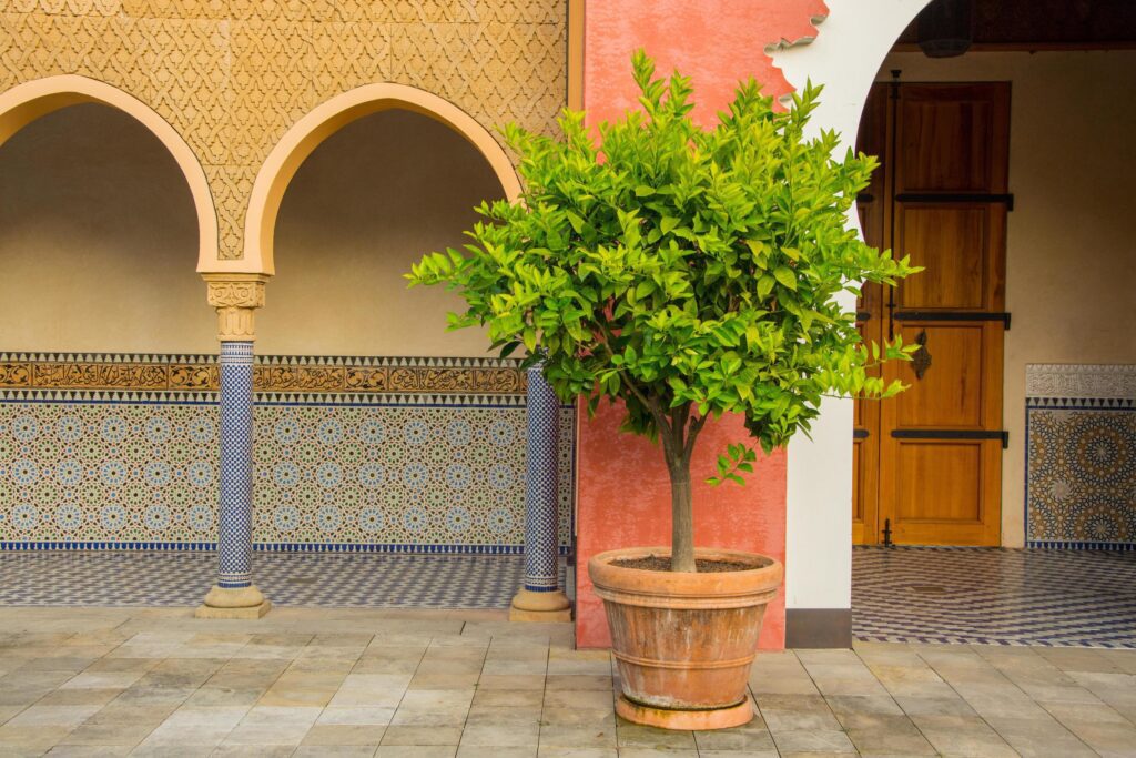 Oriental style park with plants and part of turkish architecture Stock Free