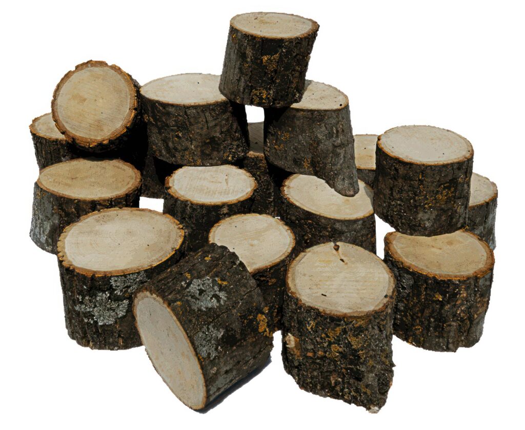 Pine Tree wood stumps on ground after being cut with real wood texture background. Stock Free