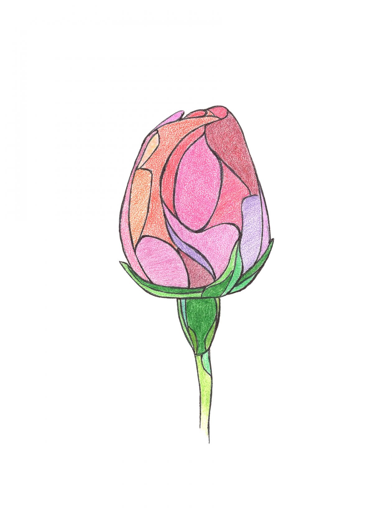 Pink rosebud drawin with crayons. Stock Free