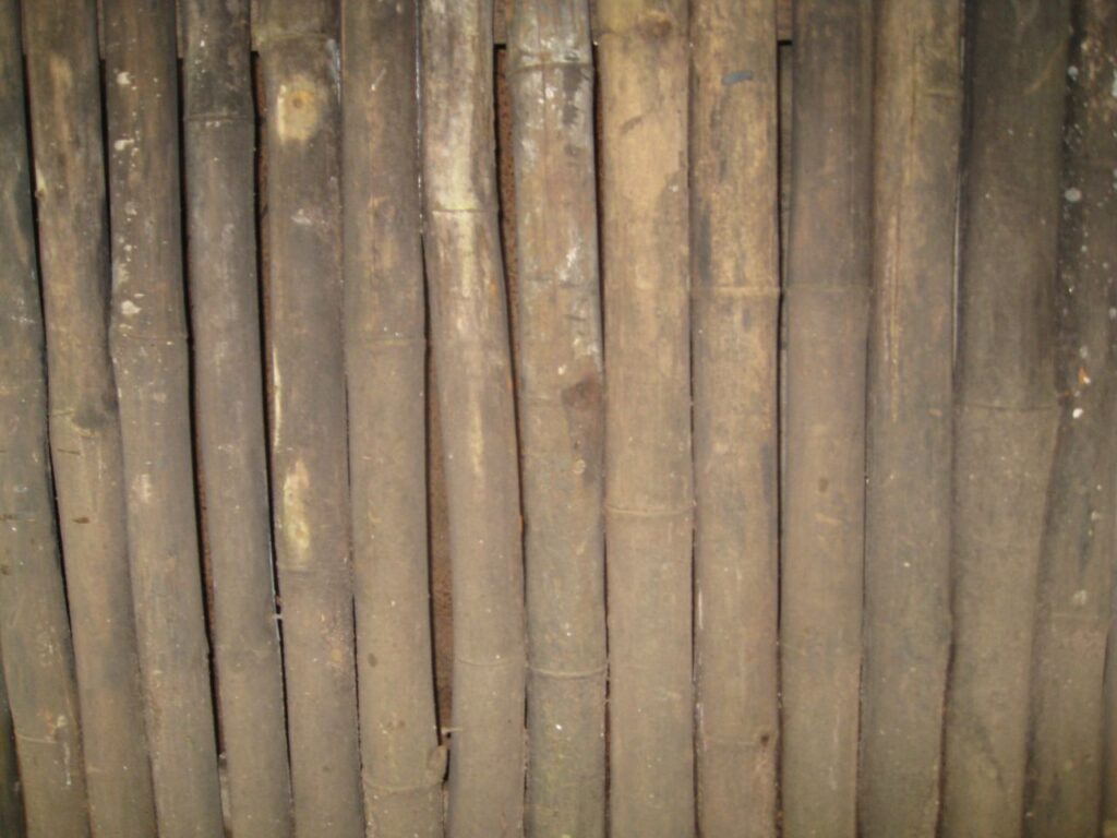 Bamboo Wall Texture Stock Free