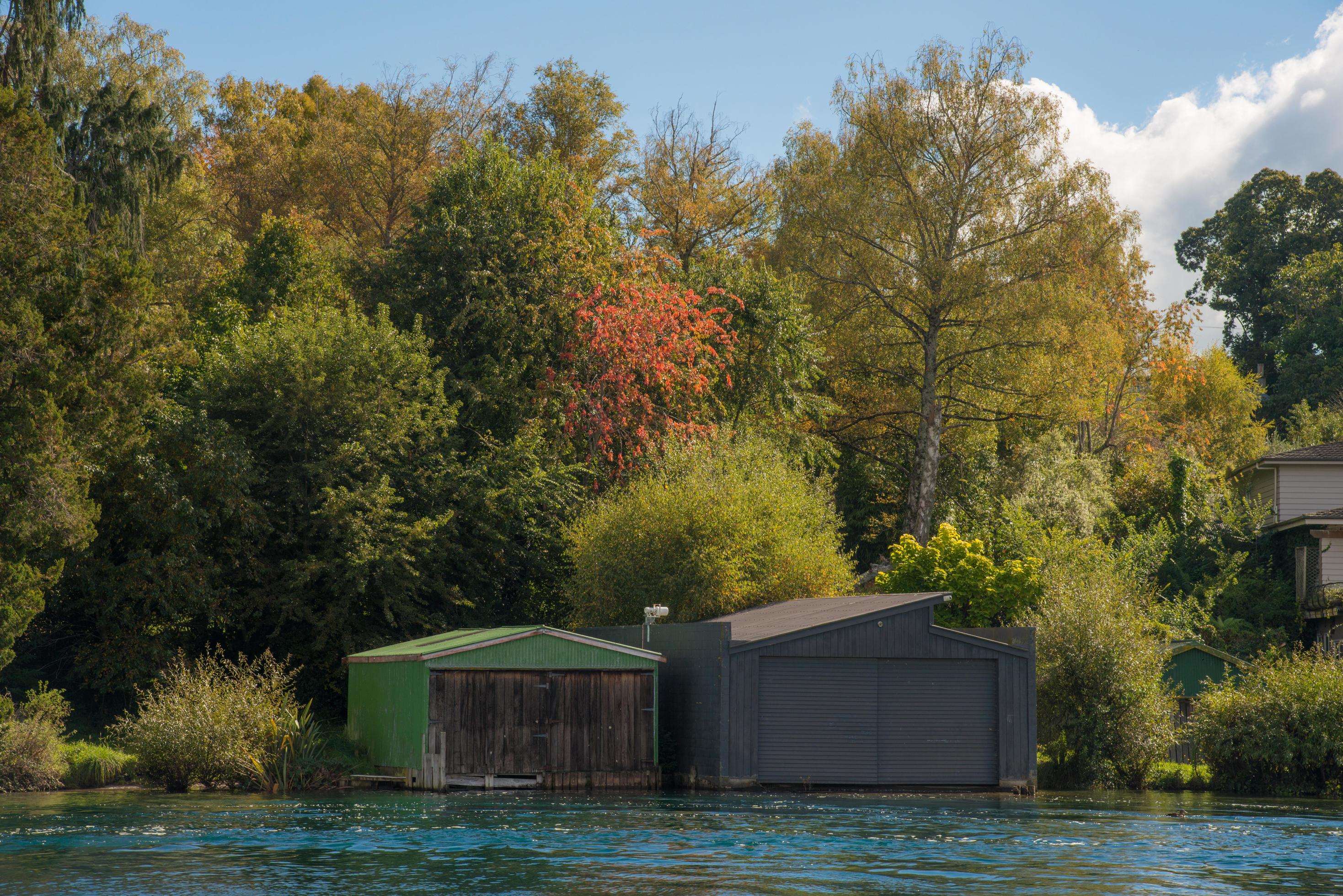 Colourful of the nature in autumn season of Taupo the iconic tourist attraction place in North Island of New Zealand. Stock Free