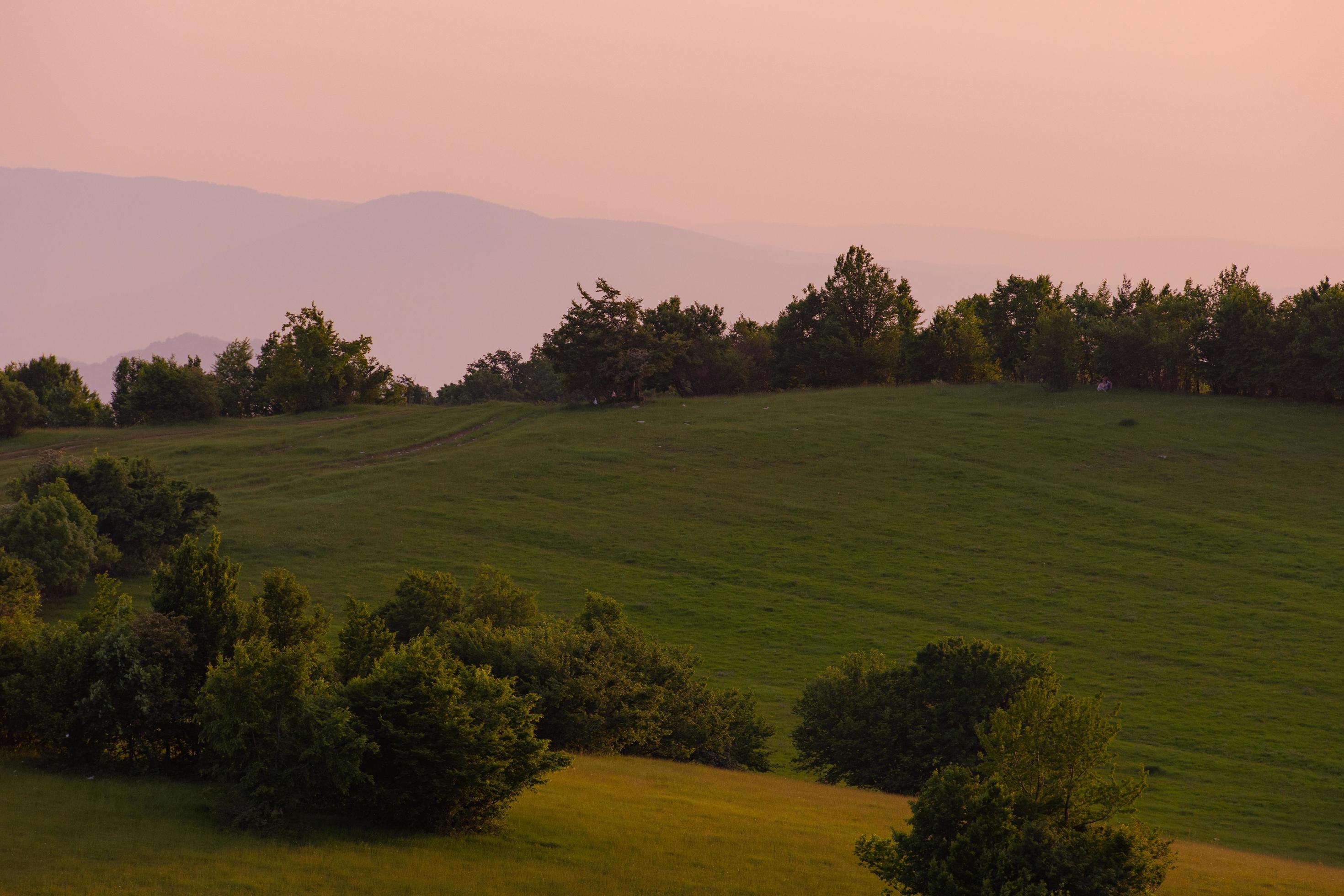 landscape nature summer Stock Free