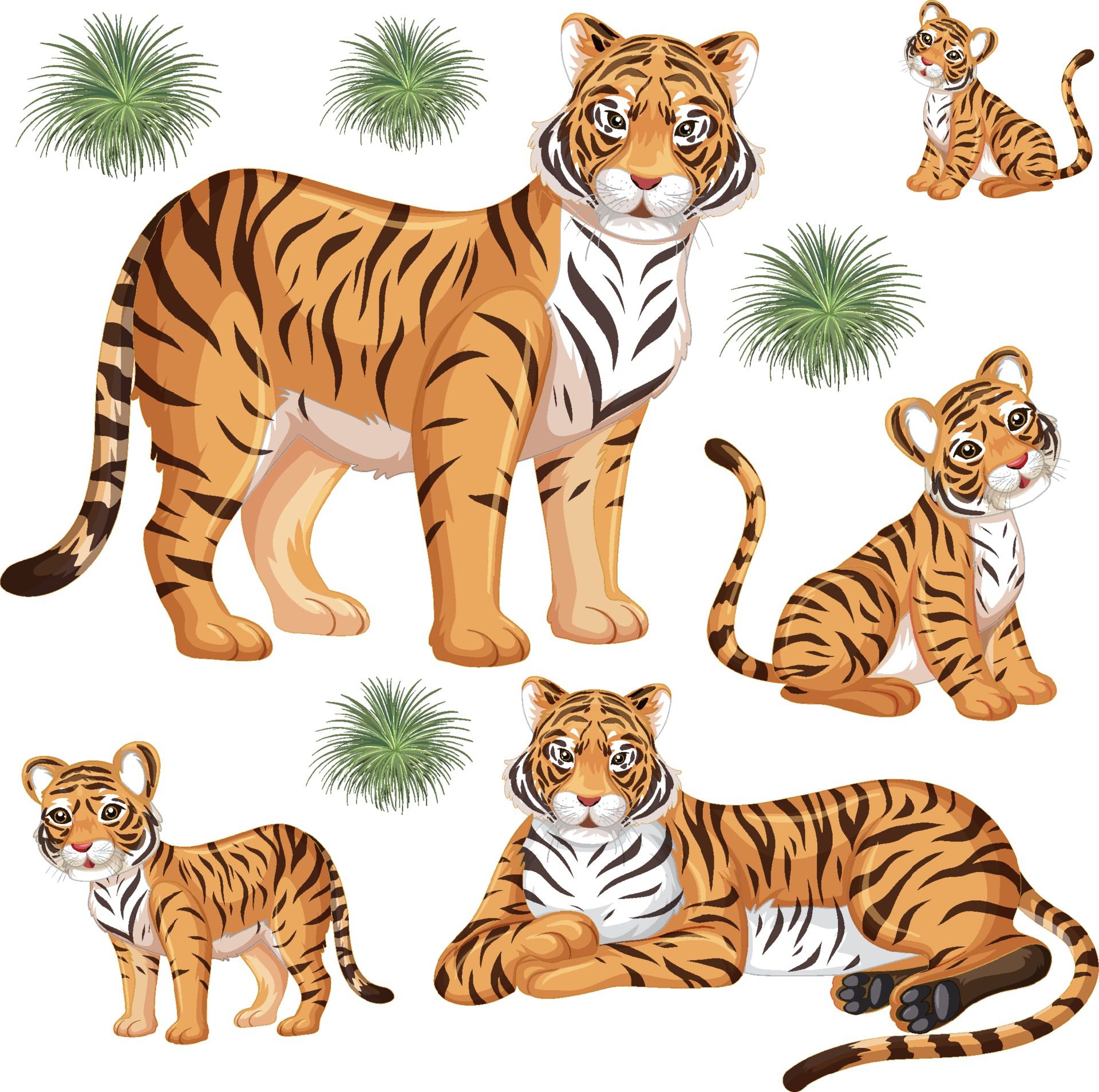 Seamless pattern with wild tiger in many poses on white background Free Vector