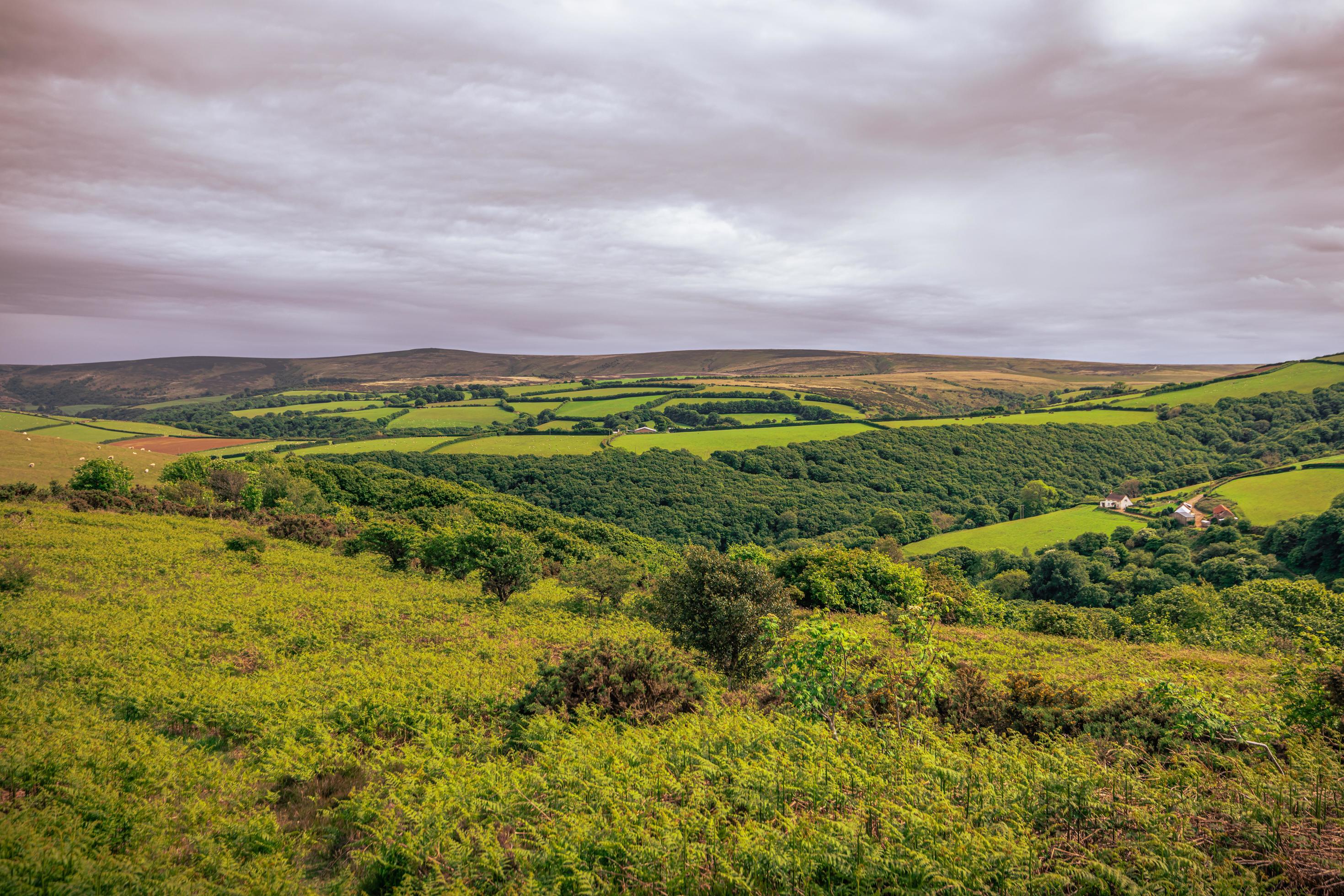 The natural landscape of Cornwall, England. Stock Free