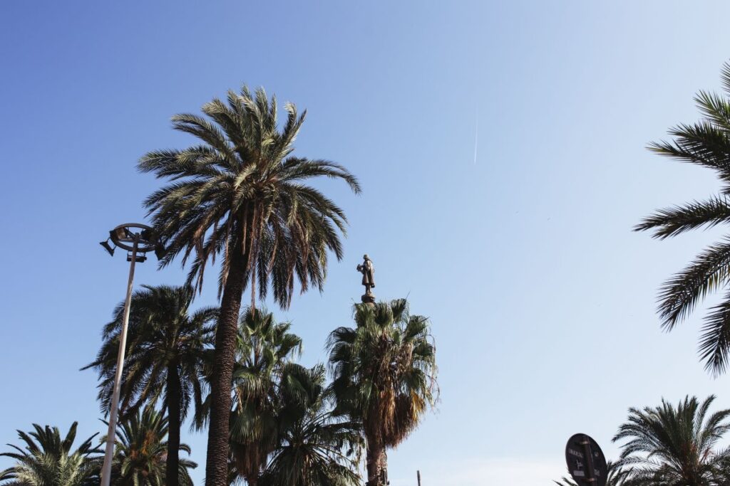 Palm trees in Spain Stock Free