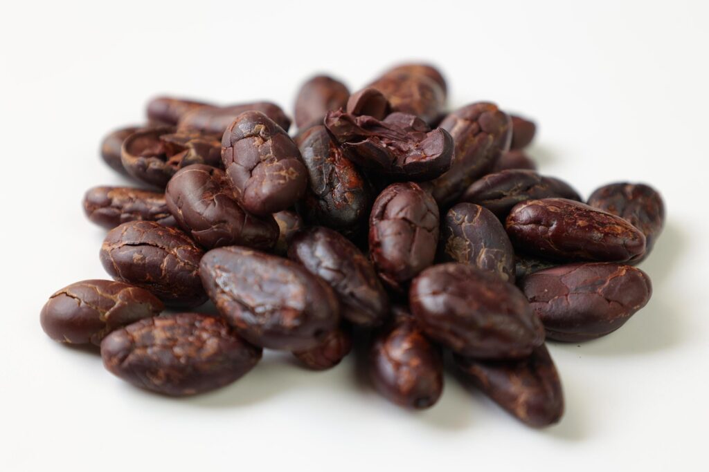 Roasted cocoa beans isolated on white background Stock Free