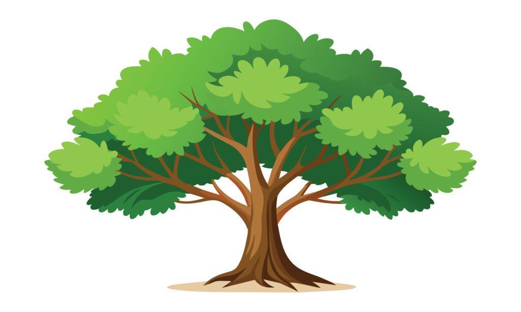 Sycamore tree isolated flat illustration on white background. Free Vector