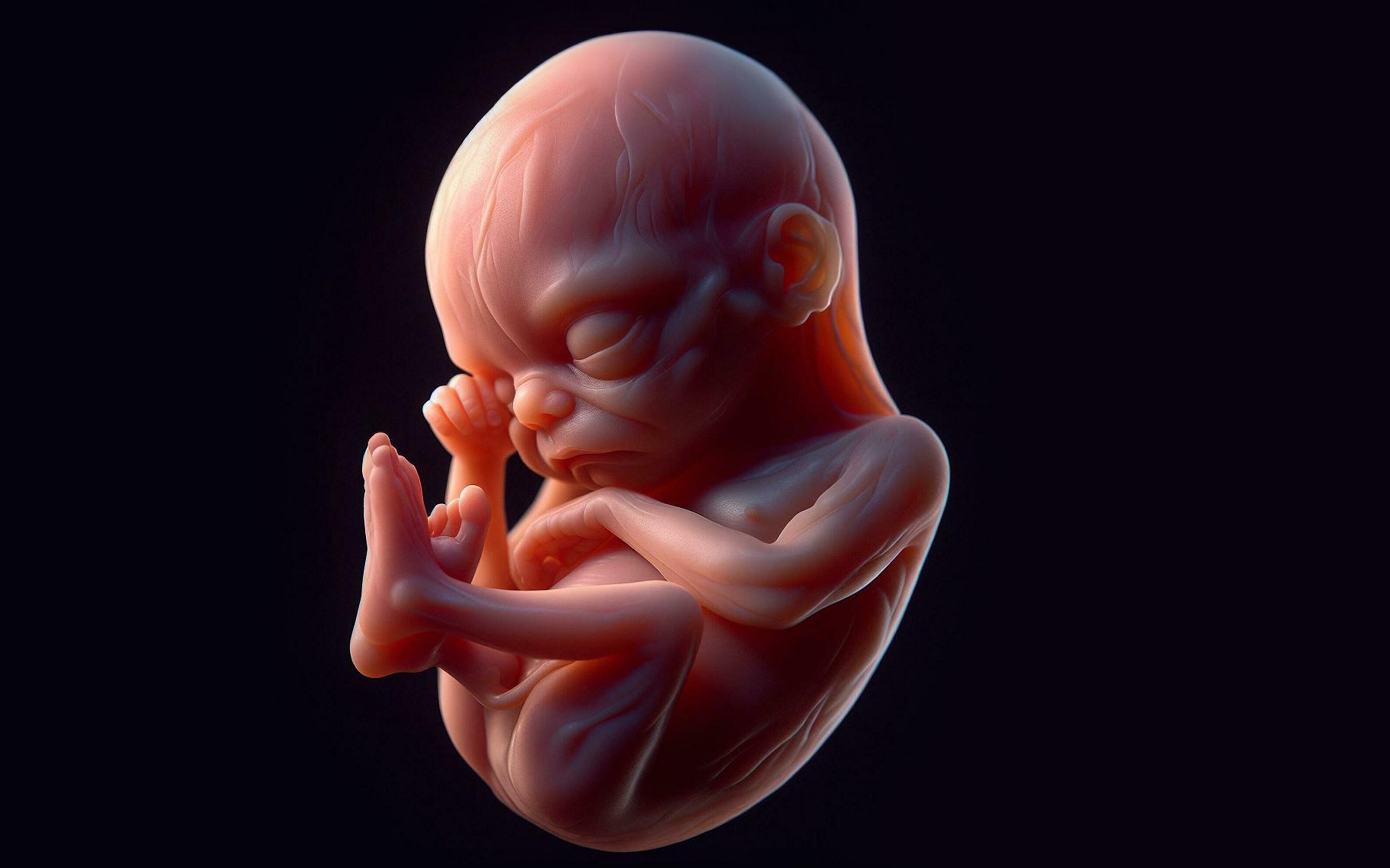 AI generated Fetus in the womb of the mother in the uterine sac 3 months gestation before giving birth Stock Free