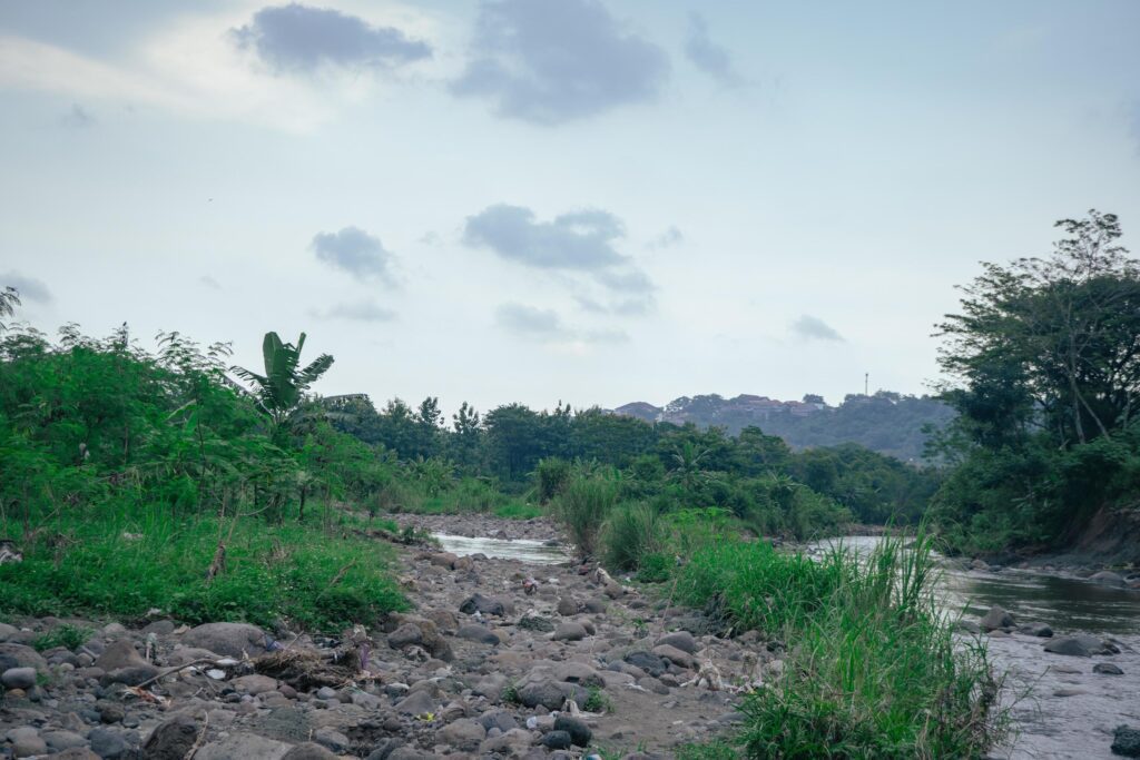 River side with river stone and green ambush when late afternoon. The photo is suitable to use for climate changes poster and nature background. Stock Free