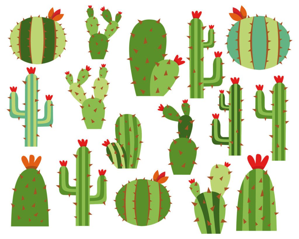 Cactus set for background Free Vector