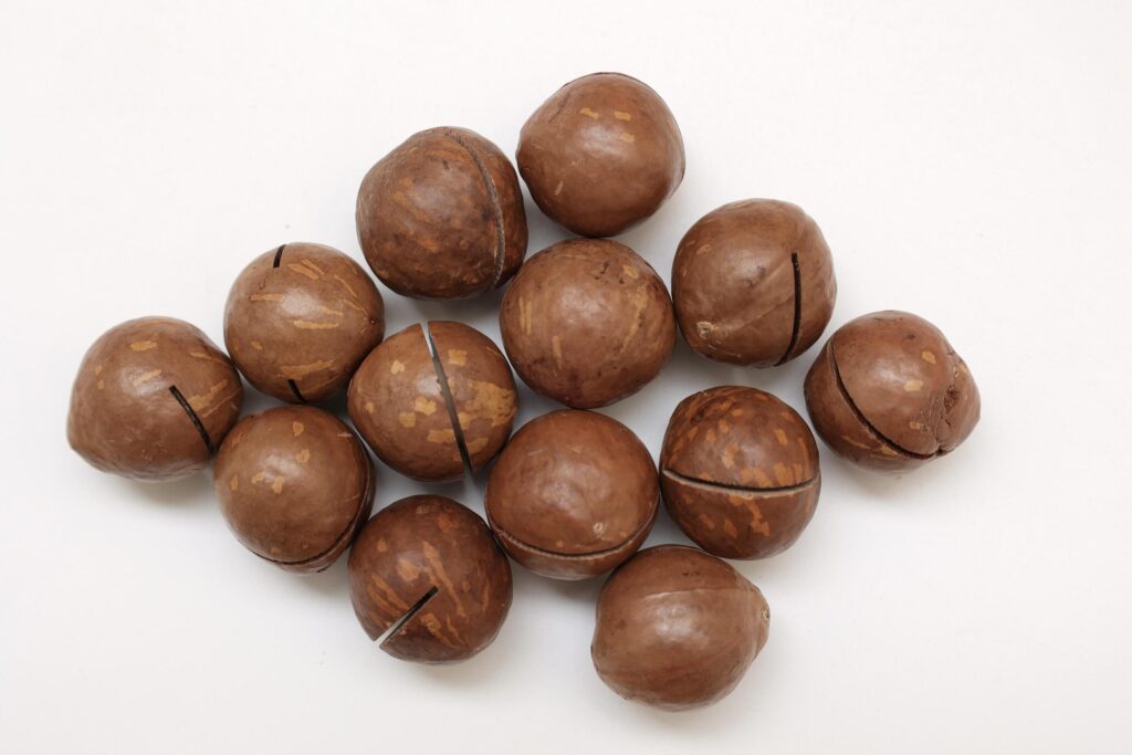 Macadamia nuts seeds background Stock Free