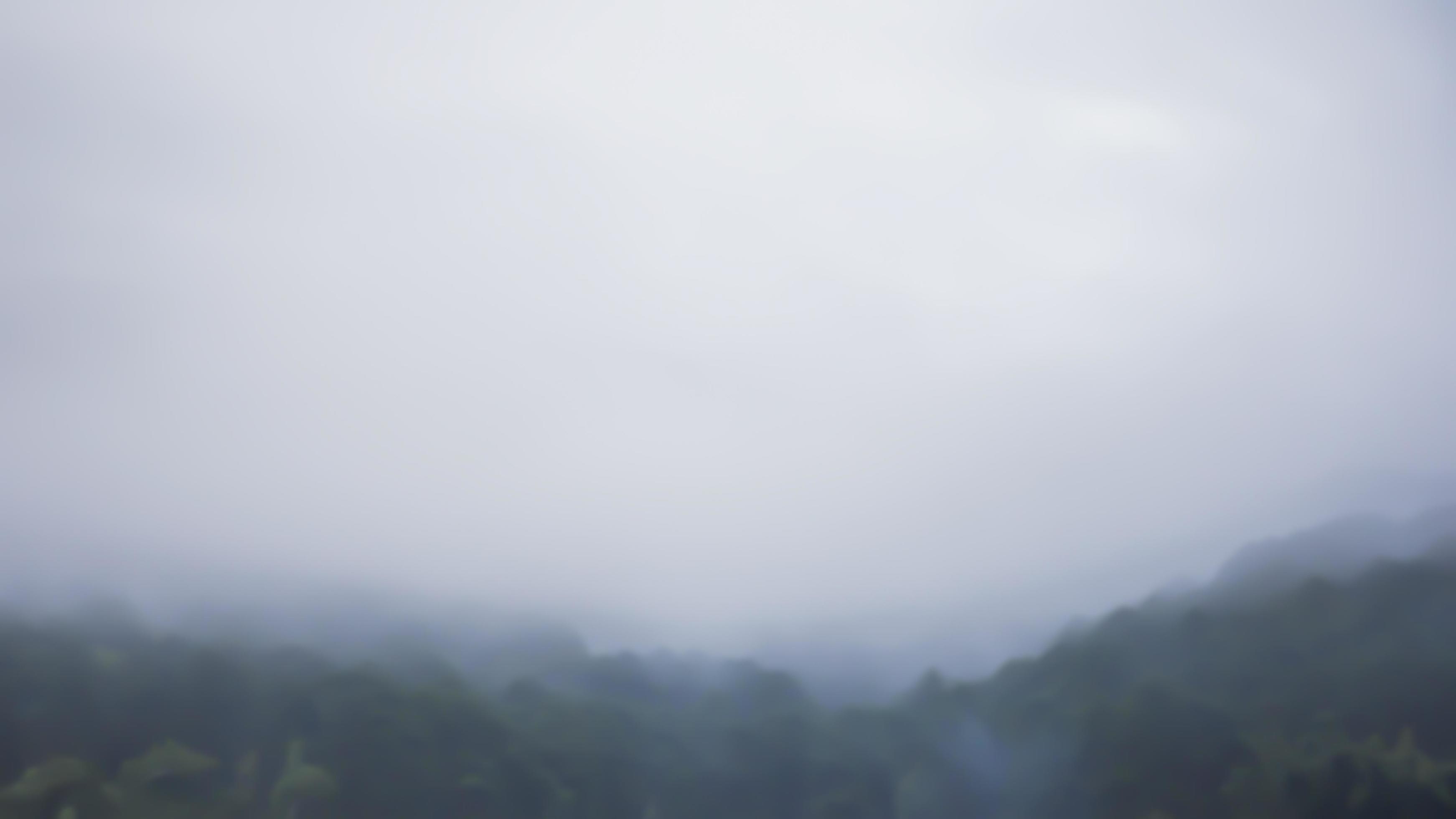 Abstract blurry trees with morning mist in mountain forest nature. Stock Free