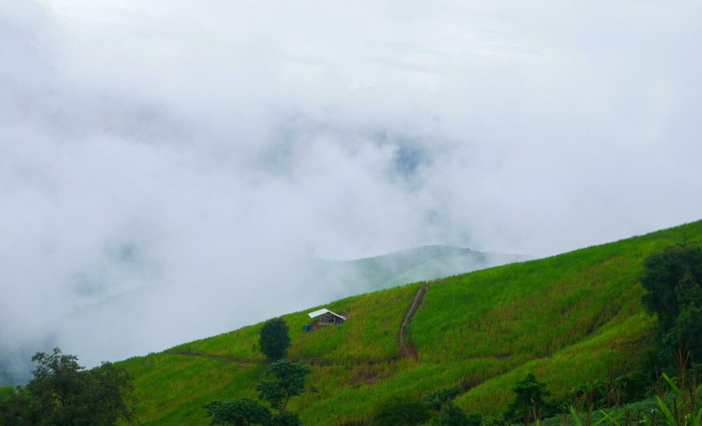 Misty landscape drifting over mountains after rain beautiful nature of the rainy season Stock Free