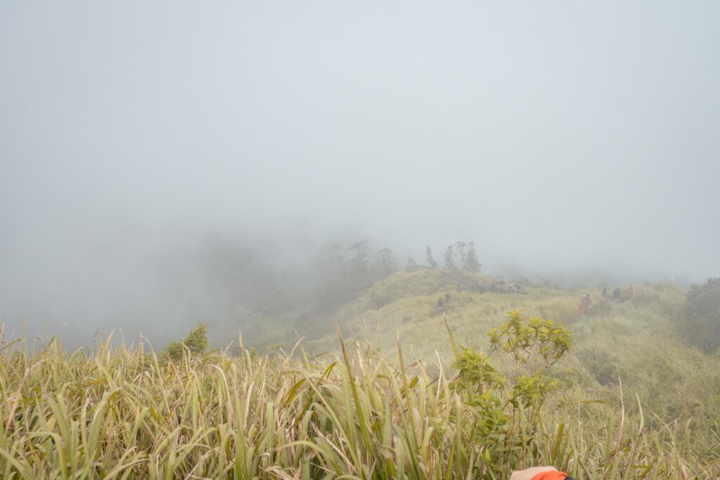 The way going to peak mountain, with Savana and foggy vibes. The photo is suitable to use for adventure content media, nature poster and forest background. Stock Free