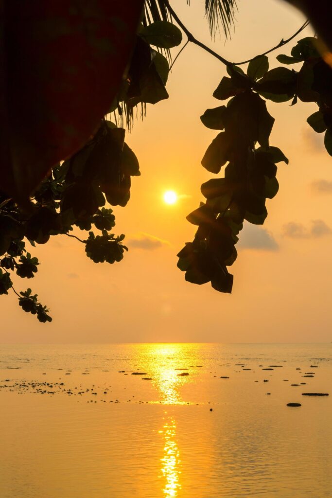 Natural silhouette of a sea view at sunset with trees framed in orange tones, nobody, copy space. Stock Free