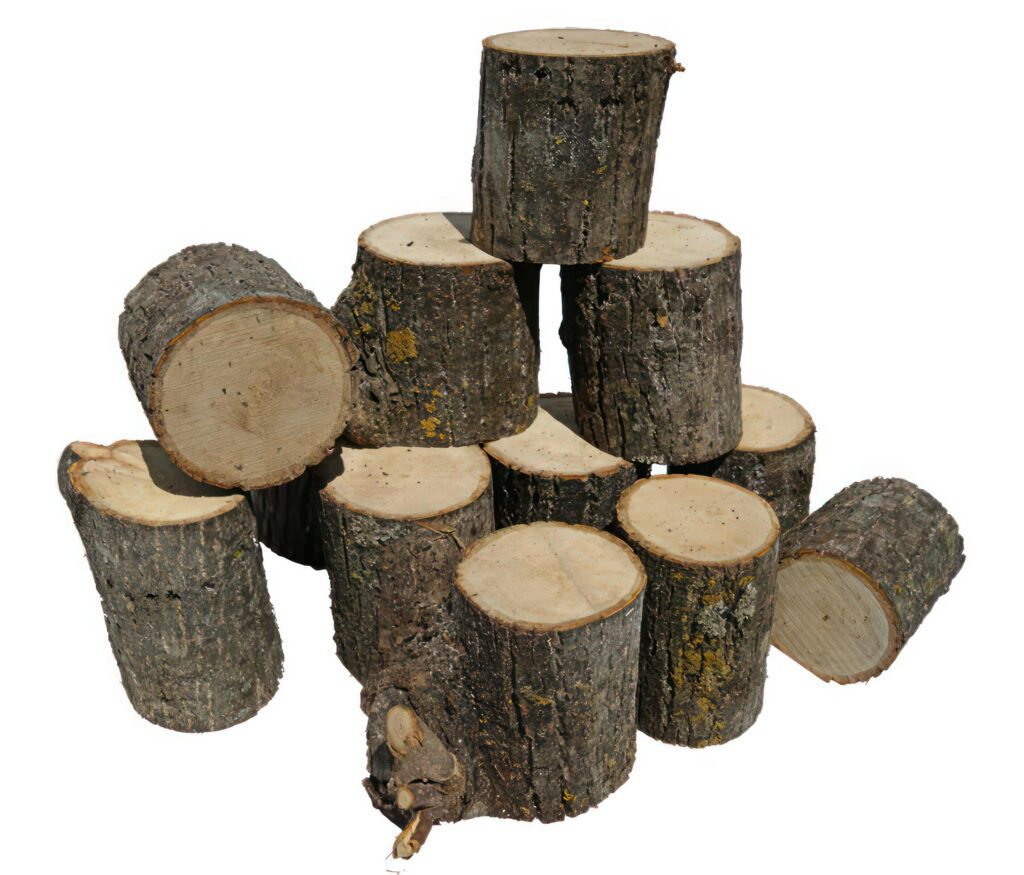 Pine Tree wood stumps on ground after being cut with real wood texture background. Stock Free