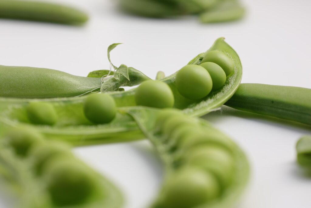 Pea on white background Stock Free