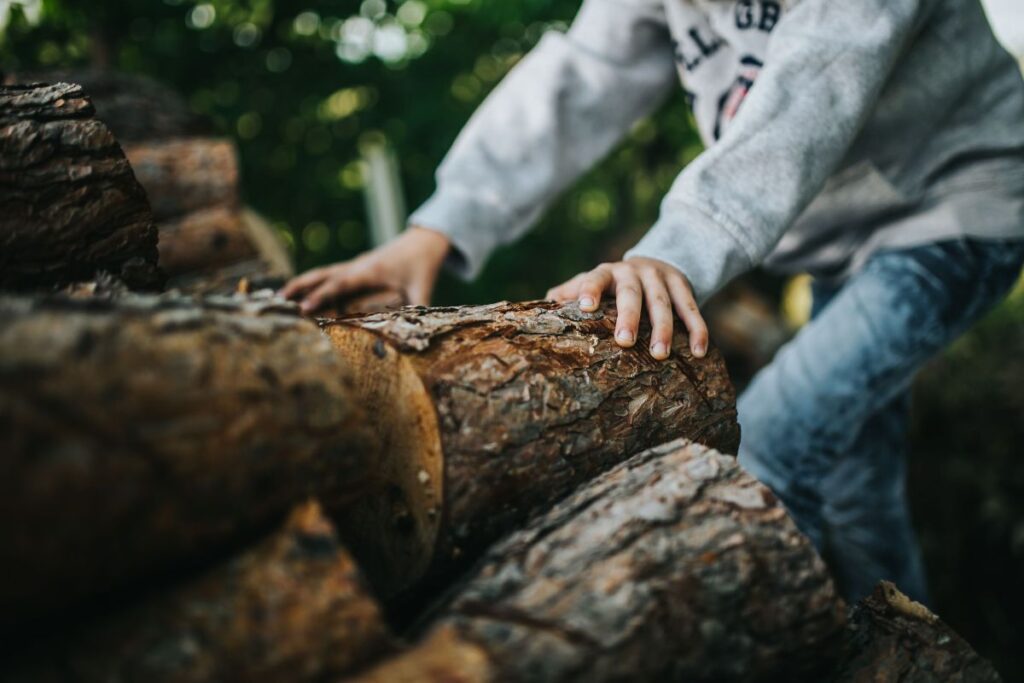 Young boy in the garden Stock Free