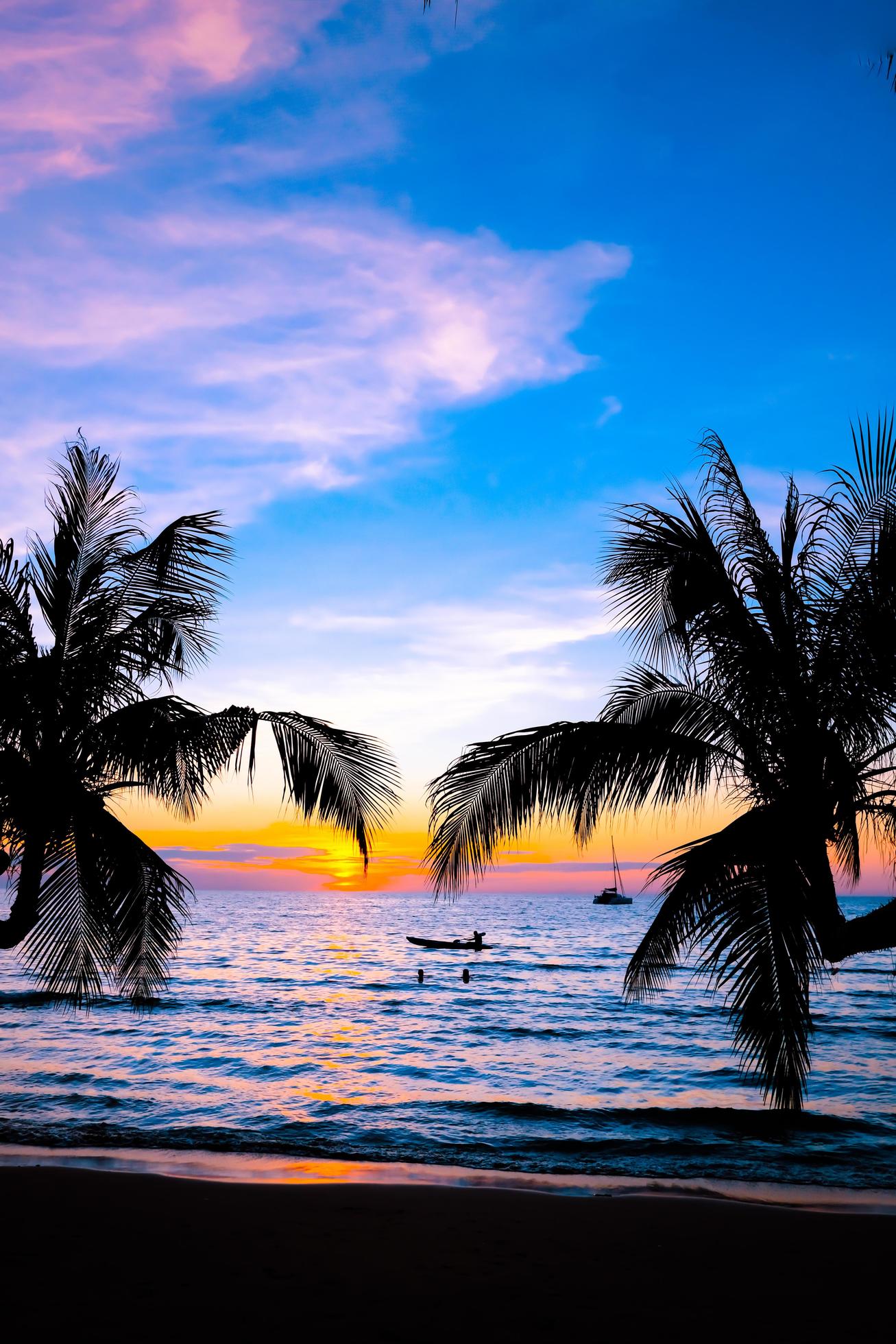 Silhouette of beautiful sunset on the sea beach with palm tree for travel in holiday relax time, on nature background Stock Free