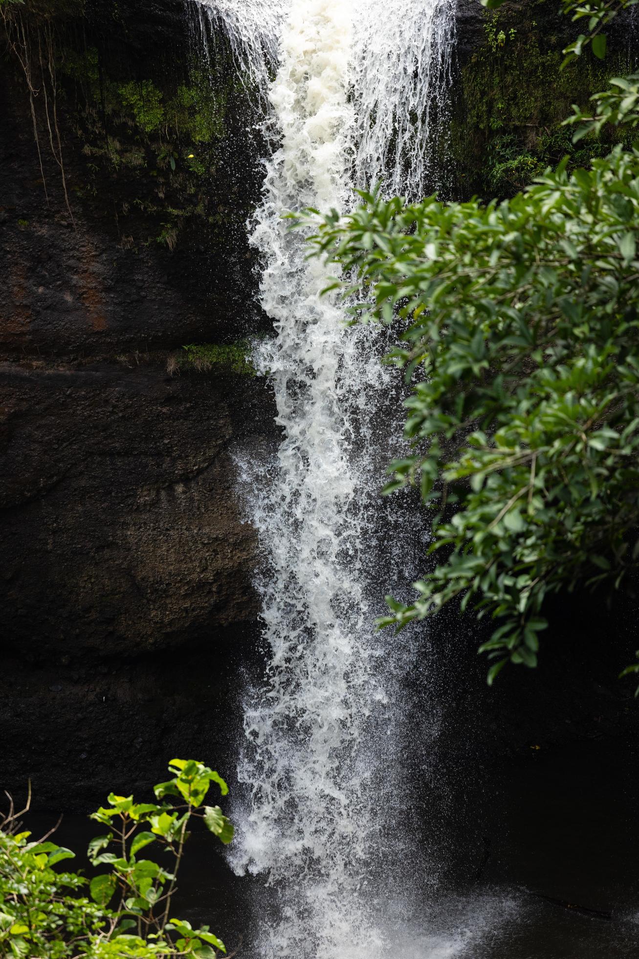 Waterfall in the big forest, beautiful in nature. Stock Free