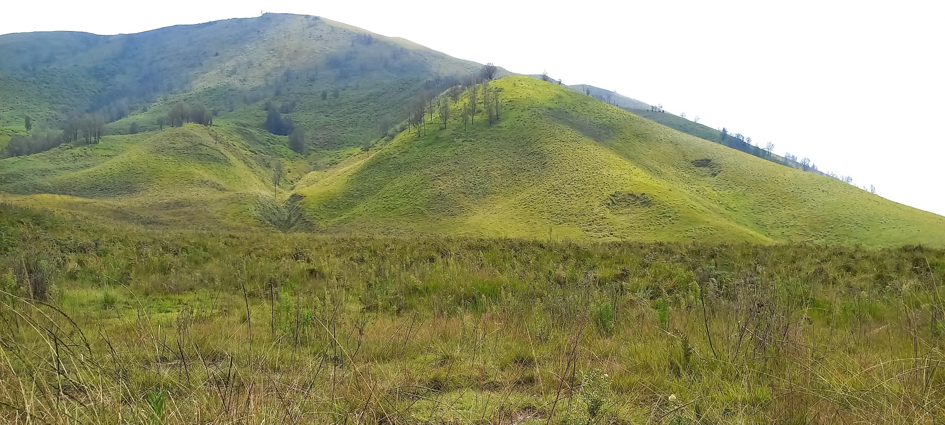 See the natural beauty of Mount Bromo, Indonesia Stock Free