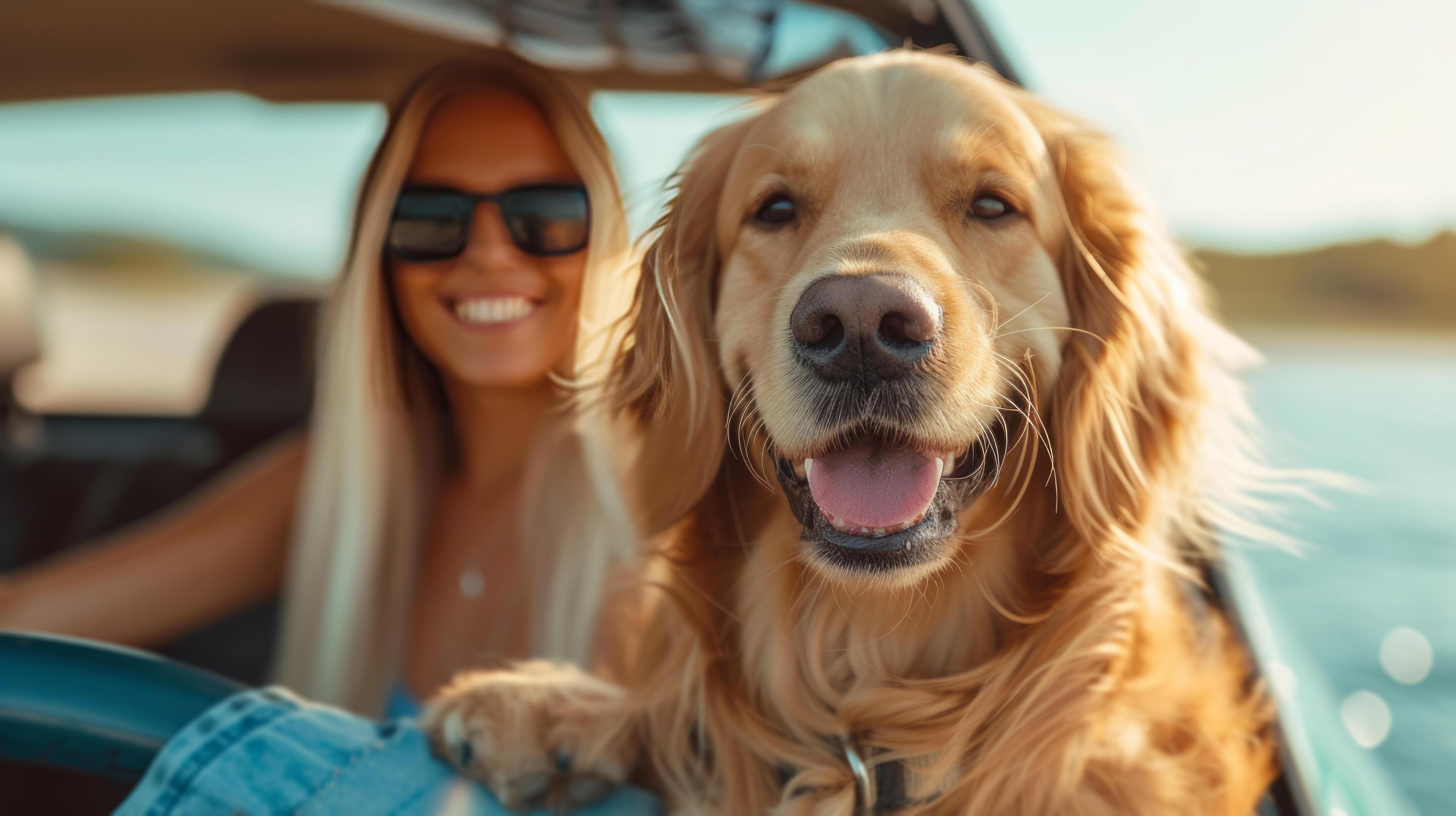 AI generated A young beautiful family is sitting in a car with their fluffy golden retriever dog Stock Free