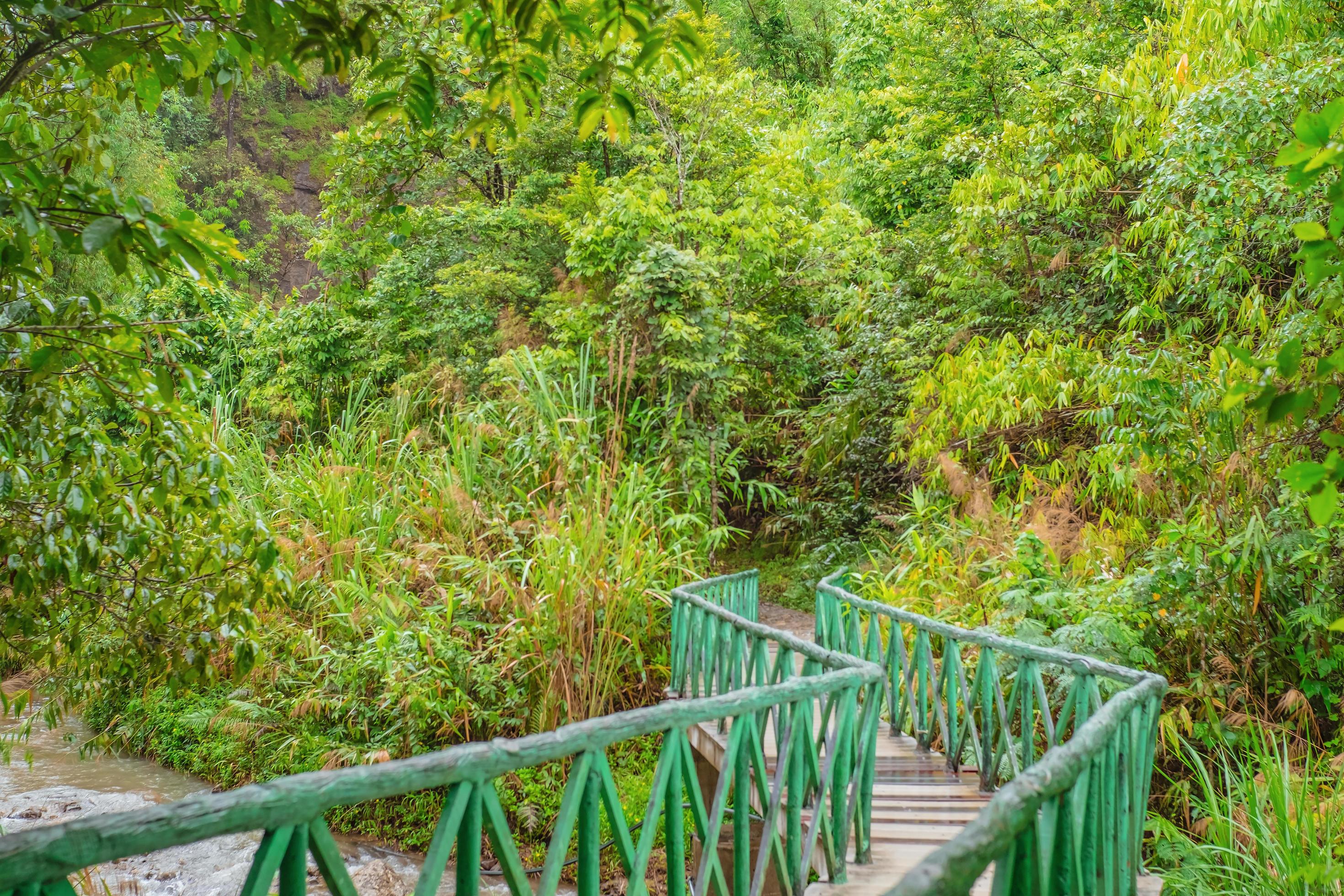 Bridge cross the river in Nature Trail on Thongphaphum national park Jokkradin waterfall.kanchanaburi City Thailand Stock Free